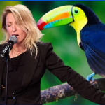 “Noise Maker Geneviève Côté Amazes the Judges as She Perfectly Mimics Rainforest Sounds on Britain’s Got Talent, Earning a Standing Ovation!”