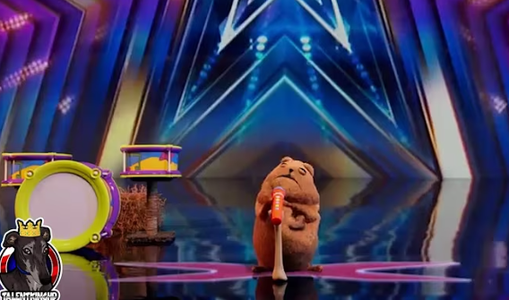 A Singing Dog on AGT? You Won’t Believe Your Ears as This Talented Pup Steals the Show with Its Incredible Vocal Skills, Leaving the Judges and Audience Completely Amazed!